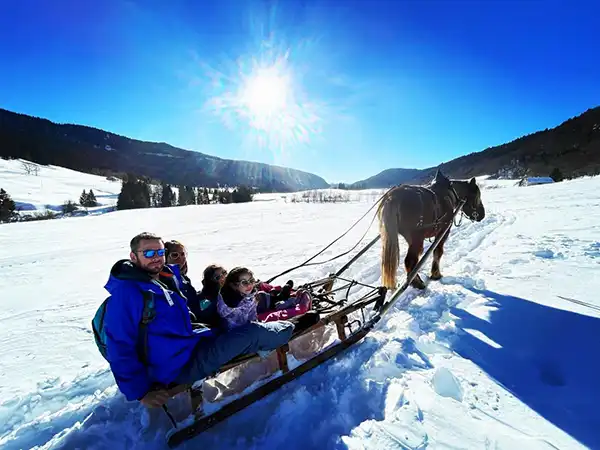 balade en luge atelée au Mont Jura