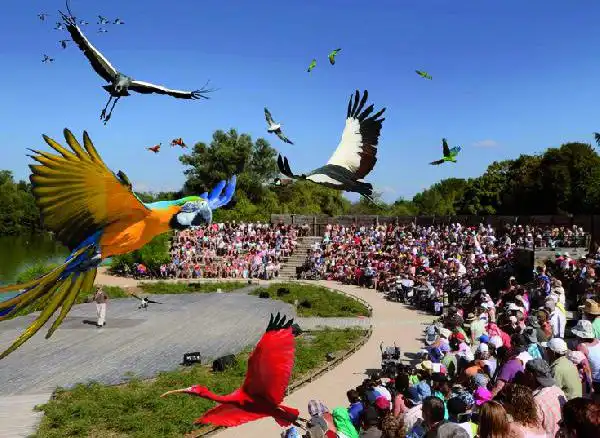 Le parc des oiseaux