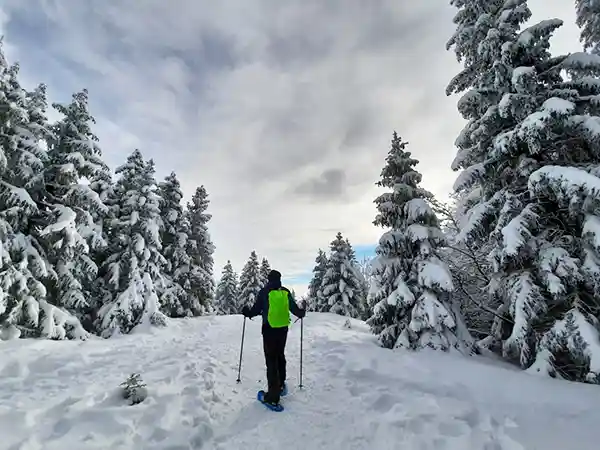 Snowshoeing in the Monts Jura