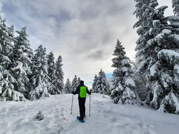 Rando en raquettes au Mont Jura